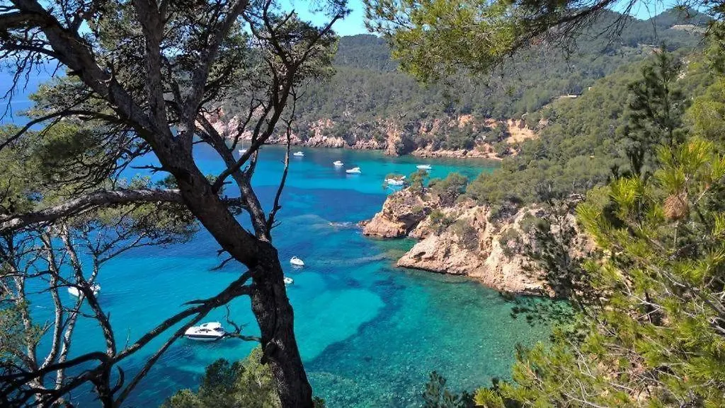 Studio Bandol Centre 2 Etoiles Ideal Emplacement